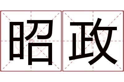 政 名字